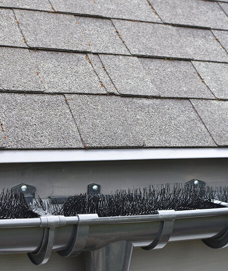 Gray gutter brush guard insert